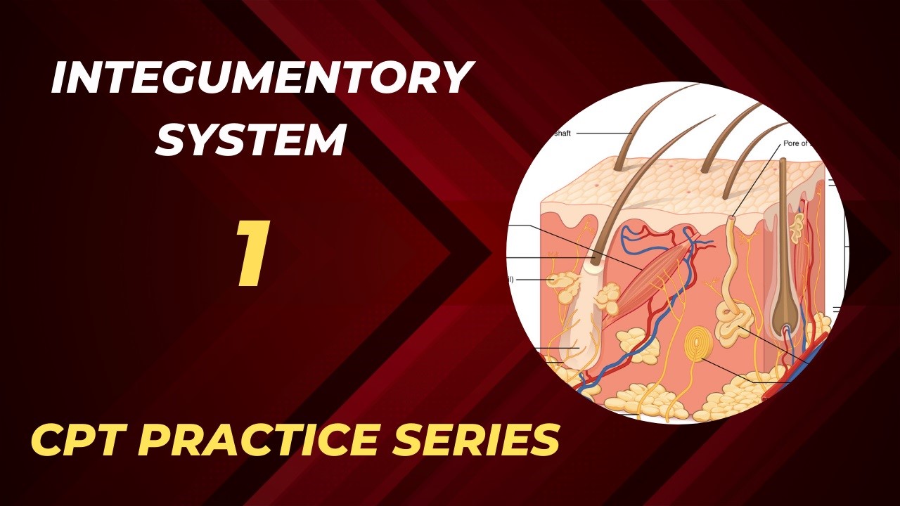 CPT Question Practice Series-1 Integumentary System