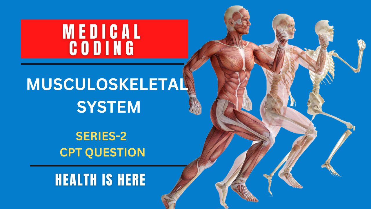 Musculoskeletal System 2 Series CPT Questions