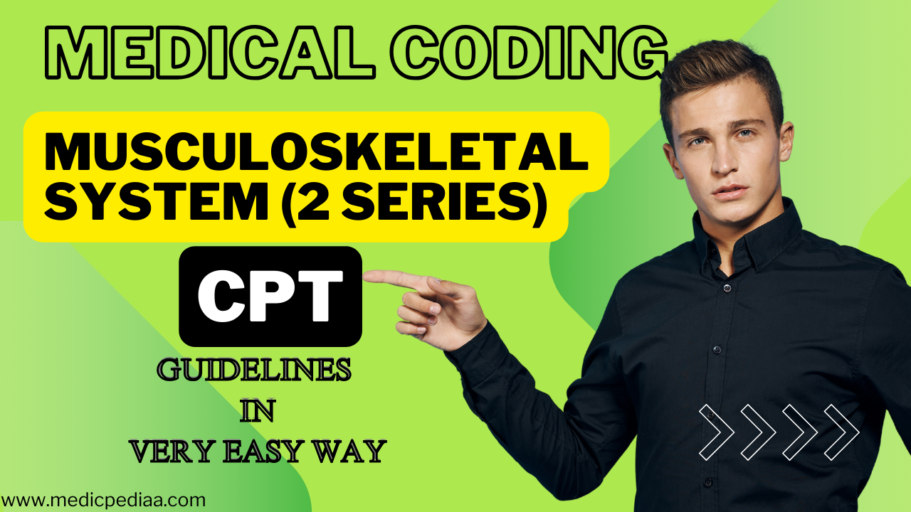 Musculoskeletal System CPT Coding Guidelines 2024