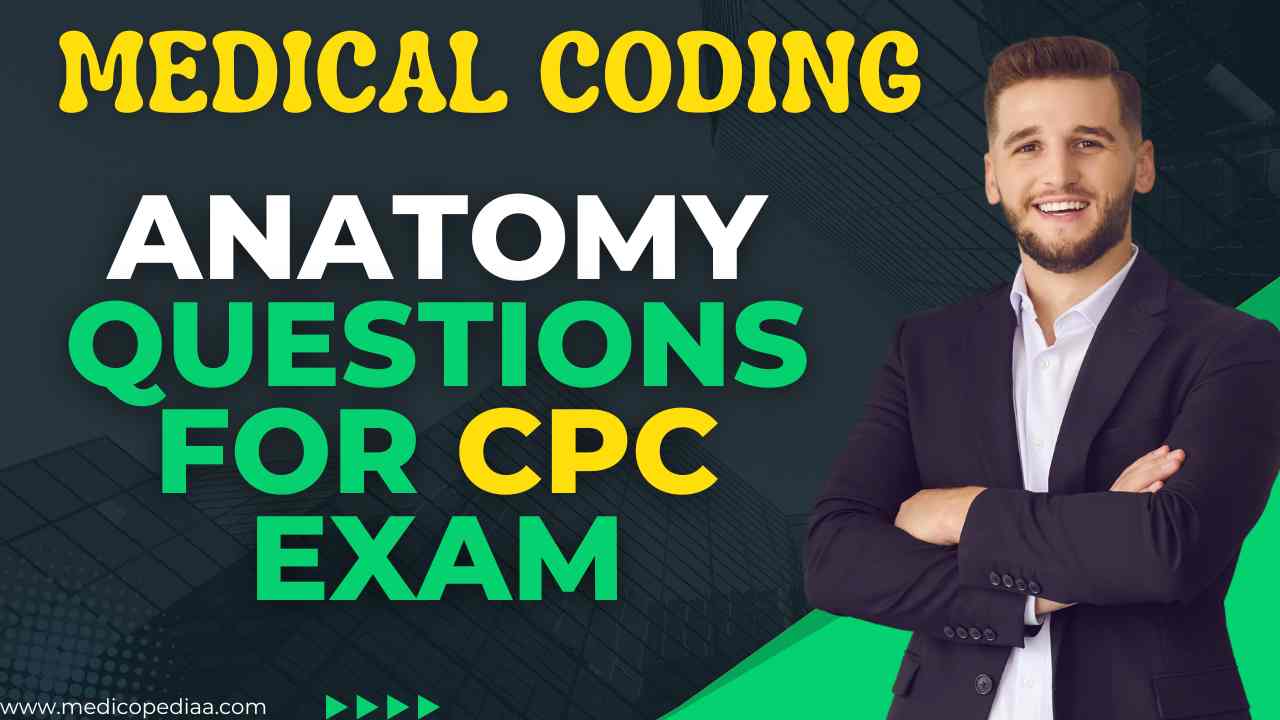 Anatomy Questions for CPC Exam