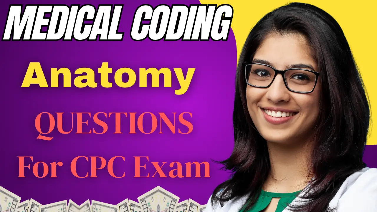 Top Anatomy and Terminology Questions for CPC Exam Preparation