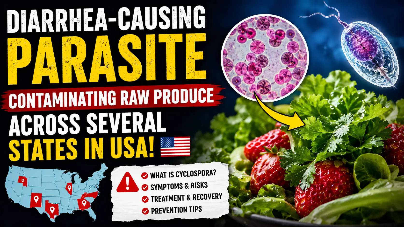 Cyclospora Outbreak Explained: The Diarrhea-Causing Parasite Linked to Raw Produce in the USA